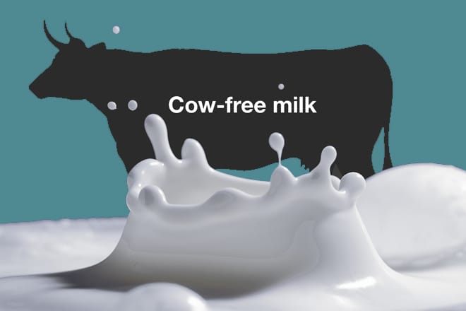 Startup brews cow’s milk alternative