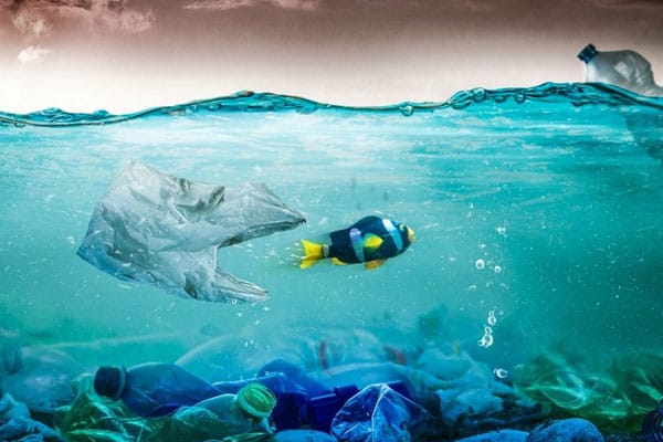 Innovators take aim at ocean plastic