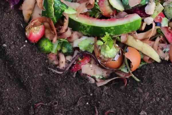From food waste to soil saviour