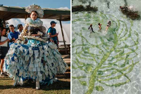 Sydneysiders step up for sea life