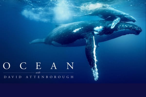 Ocean’s revival within reach